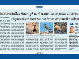 Press Releases